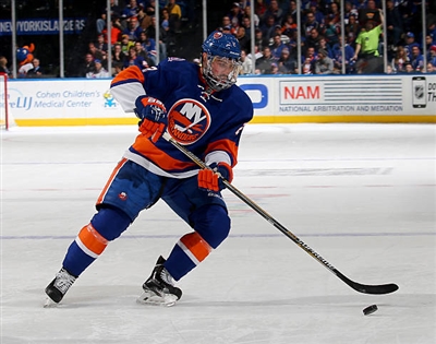 Nick Leddy Poster 3563356