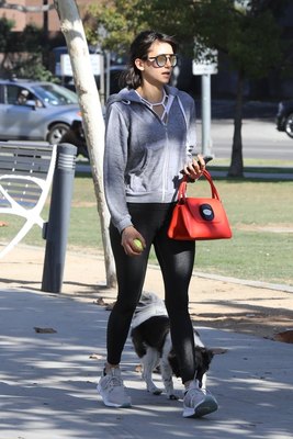 Nina Dobrev Poster 2990839