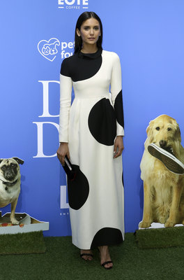 Nina Dobrev Poster 3743105