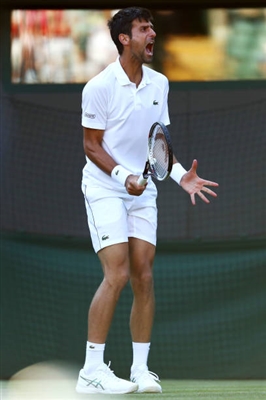 Novak Djokovic Poster 3359345