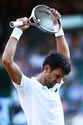 Novak Djokovic Poster 3359352