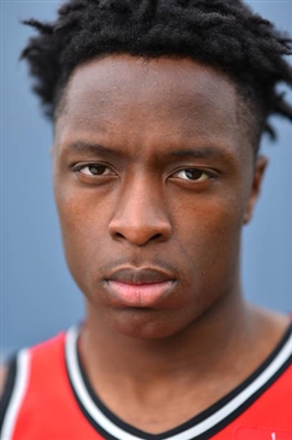 OG Anunoby Poster 3370395
