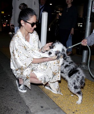 Olivia Munn Poster 2928460
