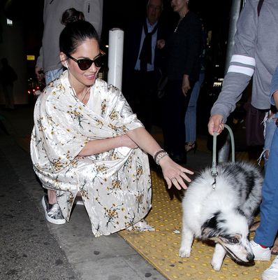 Olivia Munn Poster 2928462