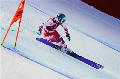 Otmar Striedinger Poster 3647072