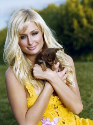 Paris Hilton Poster 1247475