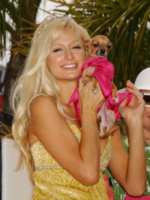 Paris Hilton Poster 1252656