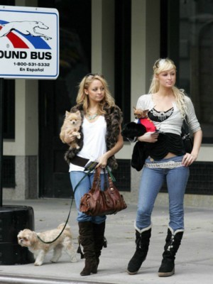 Paris Hilton Poster 1329299