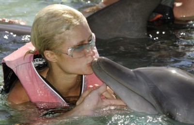 Paris Hilton Poster 1329306