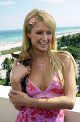 Paris Hilton Poster 1329321
