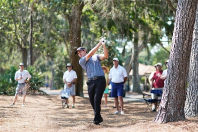 Patrick Cantlay Poster 3491418