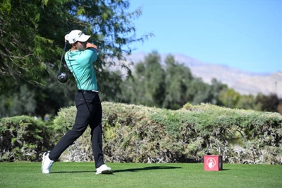 Patrick Cantlay Poster 3491421