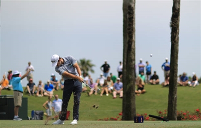 Patrick Cantlay Poster 3491442