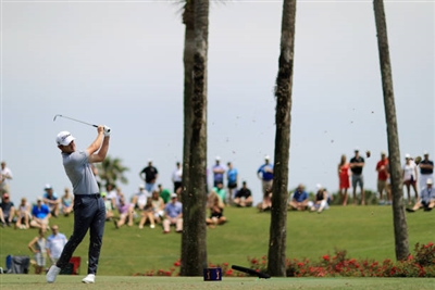 Patrick Cantlay Poster 3491537