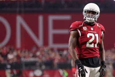 Patrick Peterson Poster 3469130