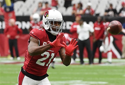 Patrick Peterson Poster 3469139