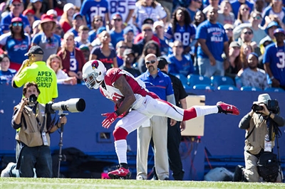Patrick Peterson Poster 3469140