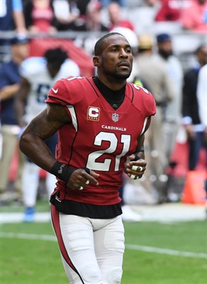 Patrick Peterson Poster 3469141