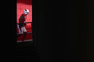 Patrick Peterson Poster 3469142