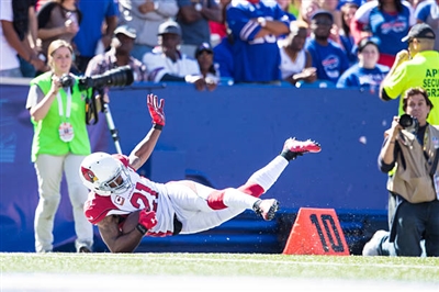 Patrick Peterson Poster 3469150