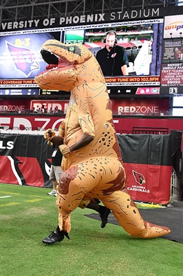 Patrick Peterson Poster 3469217