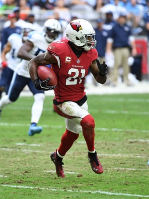 Patrick Peterson Poster 3469218