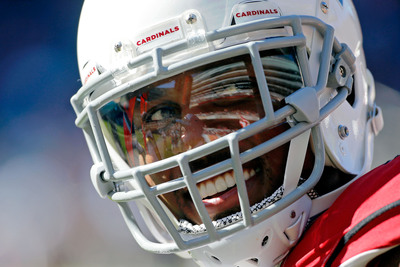 Patrick Peterson Poster 3958605