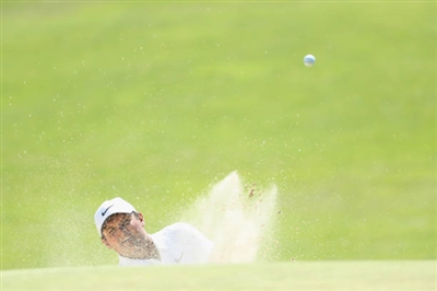 Patrick Reed Poster 3486005