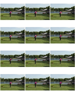 Patrick Reed Poster 3486012