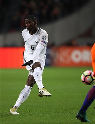 Paul Pogba Poster 3329221