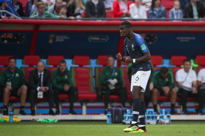 Paul Pogba Poster 3329256