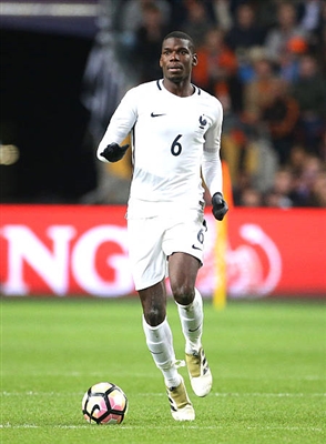 Paul Pogba Poster 3329301