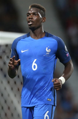 Paul Pogba Poster 3329311