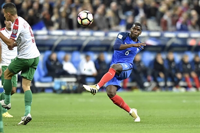 Paul Pogba Poster 3329338