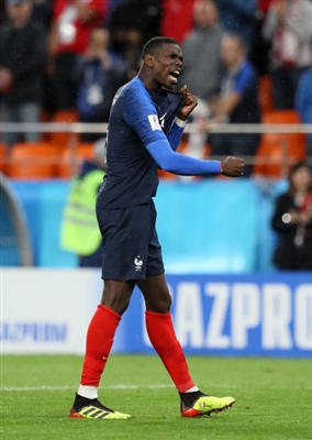 Paul Pogba Poster 3329383