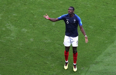 Paul Pogba Poster 3462819