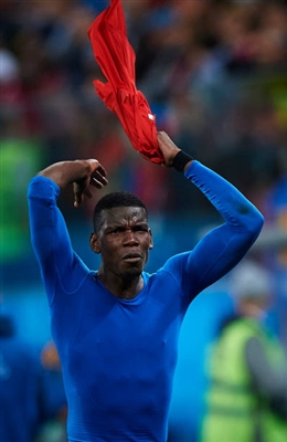 Paul Pogba Poster 3462880