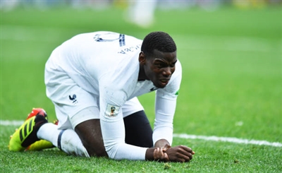 Paul Pogba Poster 3463016