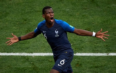 Paul Pogba Poster 3463018