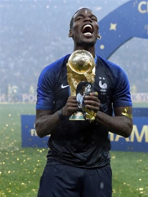 Paul Pogba Poster 3463031