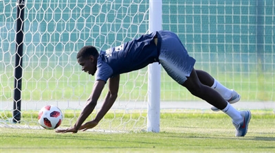 Paul Pogba Poster 3463090