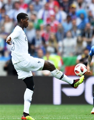 Paul Pogba Poster 3463118