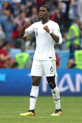 Paul Pogba Poster 3463120