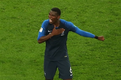 Paul Pogba Poster 3463124