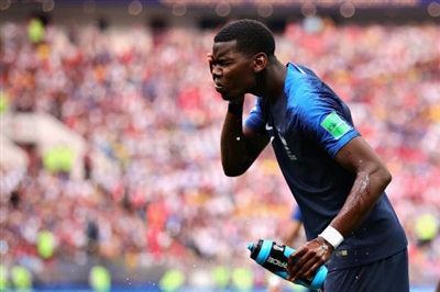 Paul Pogba Poster 3463131