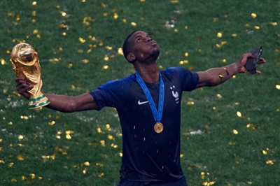 Paul Pogba Poster 3463147