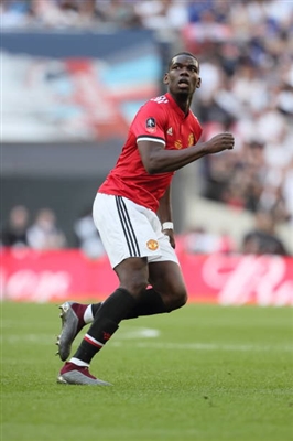 Paul Pogba Poster 3463149