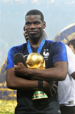 Paul Pogba Poster 3463151
