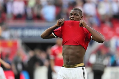 Paul Pogba Poster 3463156