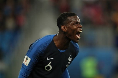 Paul Pogba Poster 3463159
